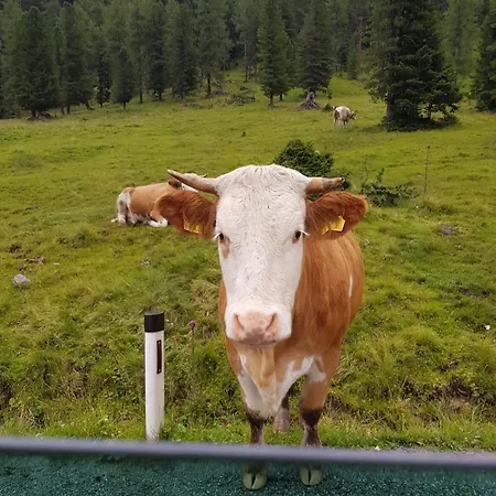 아파트 Der Molen *